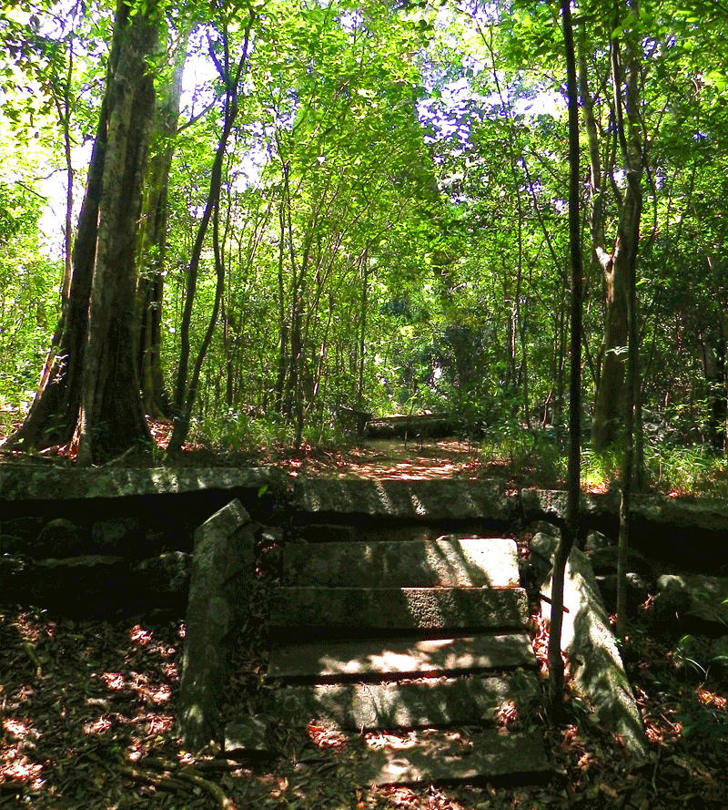 Ritigala Forest Monastery