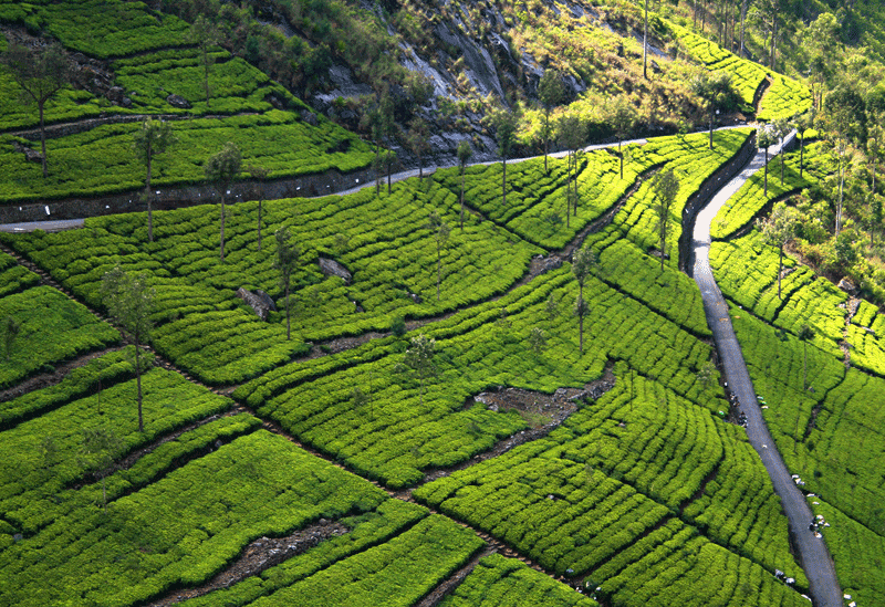 Badulla Sri Lanka