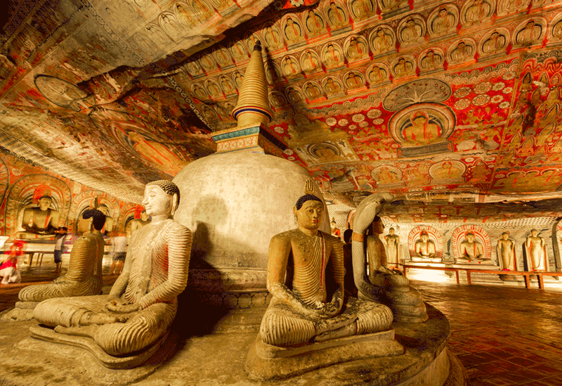 Dambulla Sri Lanka