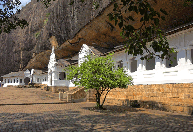 Dambulla Sri Lanka