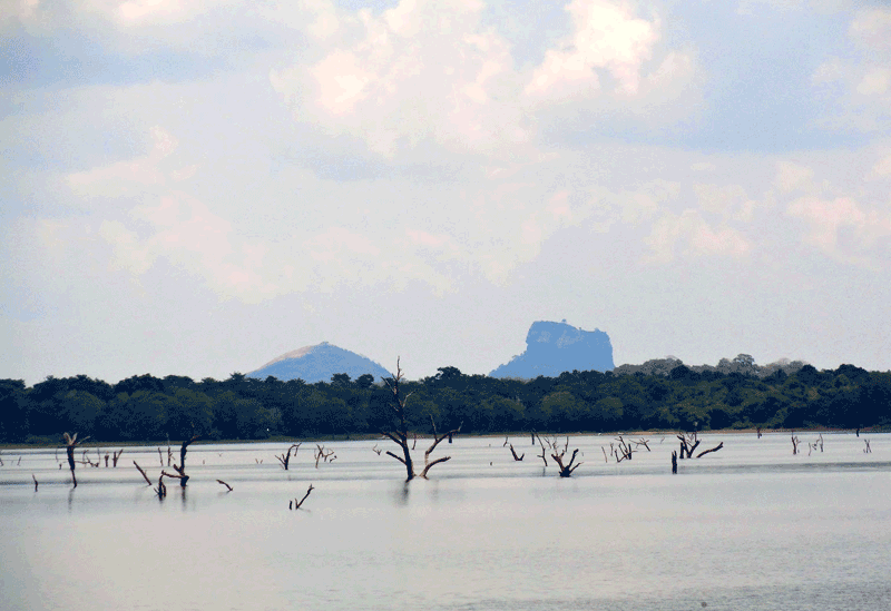 Dambulla Sri Lanka