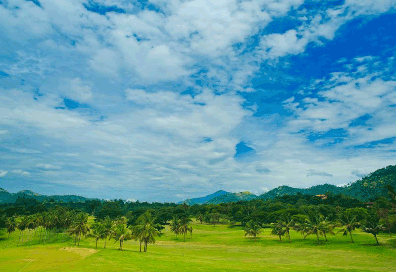 Dambulla Sri Lanka