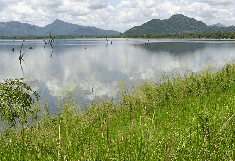 Dambulla Sri Lanka