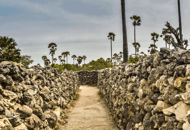 Delft Island Sri Lanka