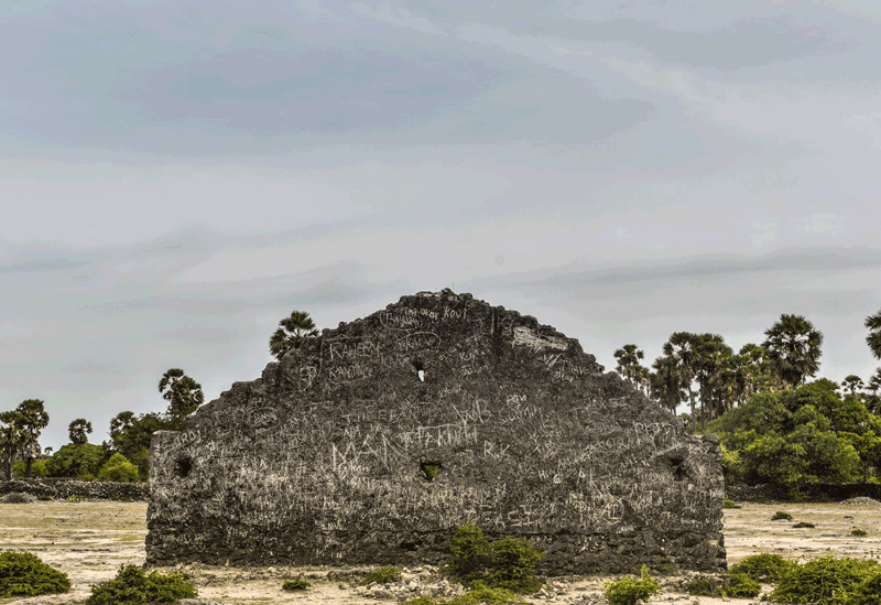 Delft Island Sri Lanka