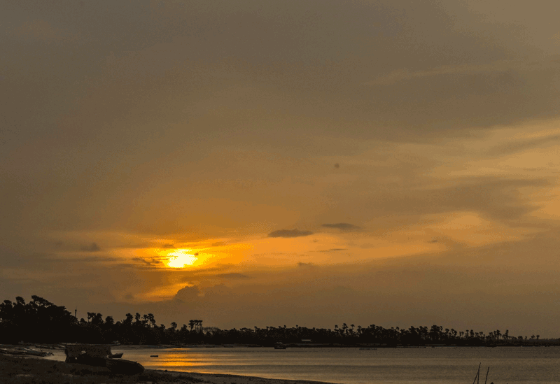 Delft Island Sri Lanka