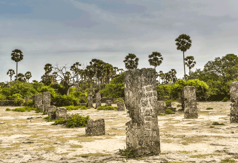 Delft Island Sri Lanka