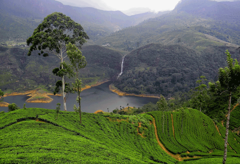 Ella Sri Lanka