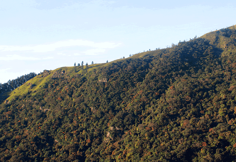 Haputale Sri Lanka