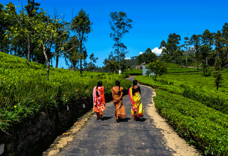 Haputale Sri Lanka