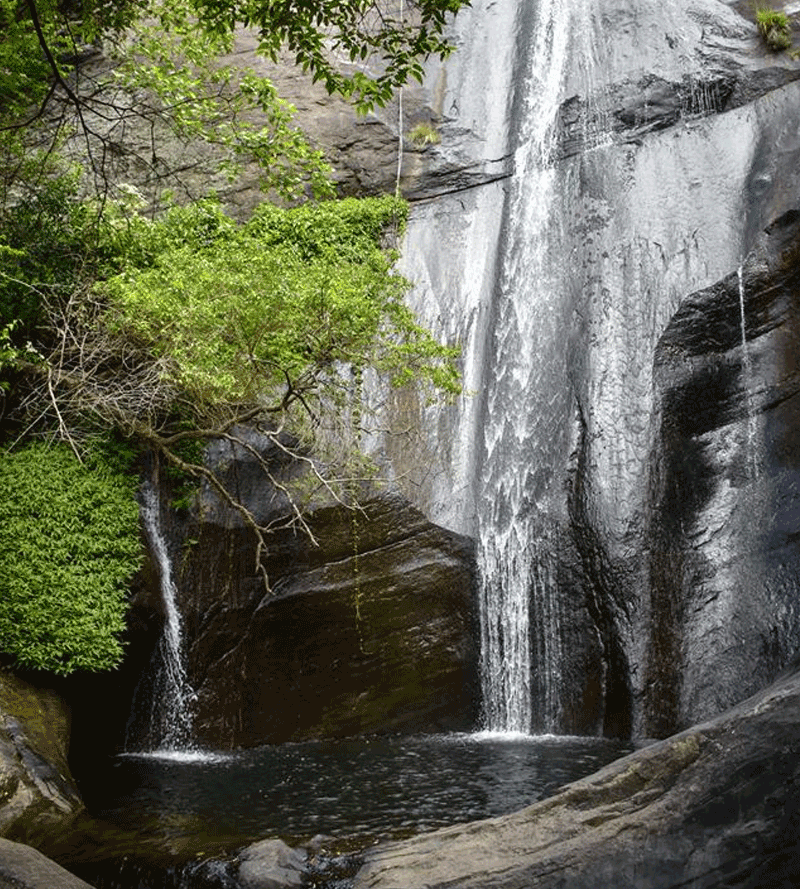 Lanka Ella Falls