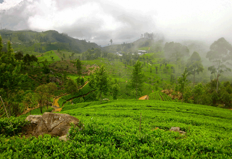 Hatton Sri Lanka