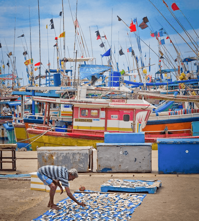 Fishing Harbour 