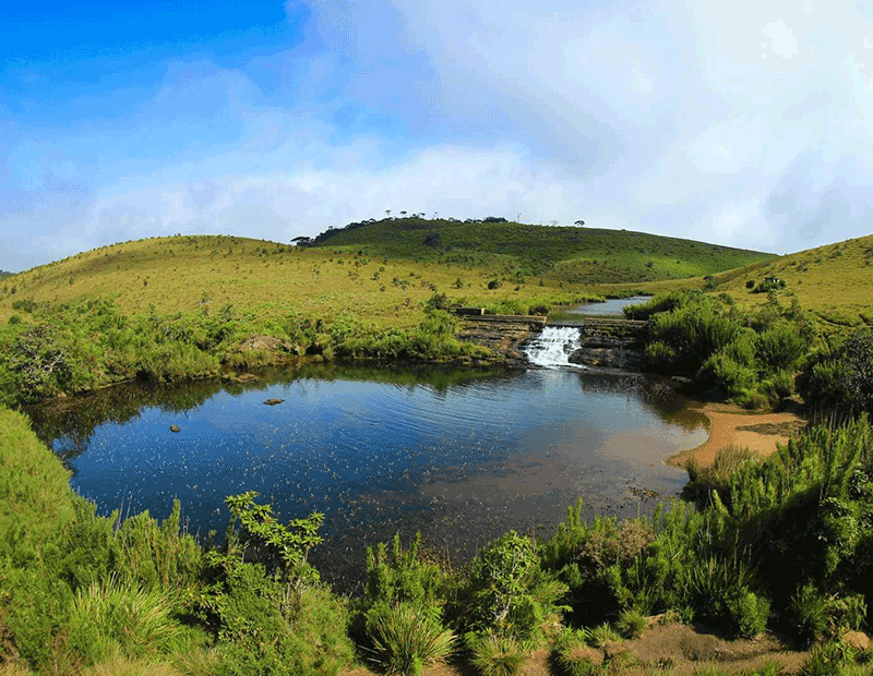 horton plains