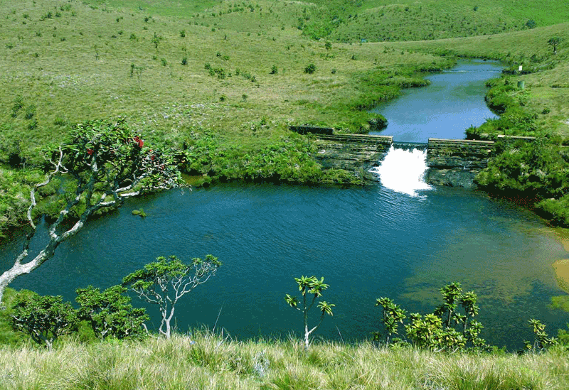 Horton Plains Cloud Forest  Sri Lanka