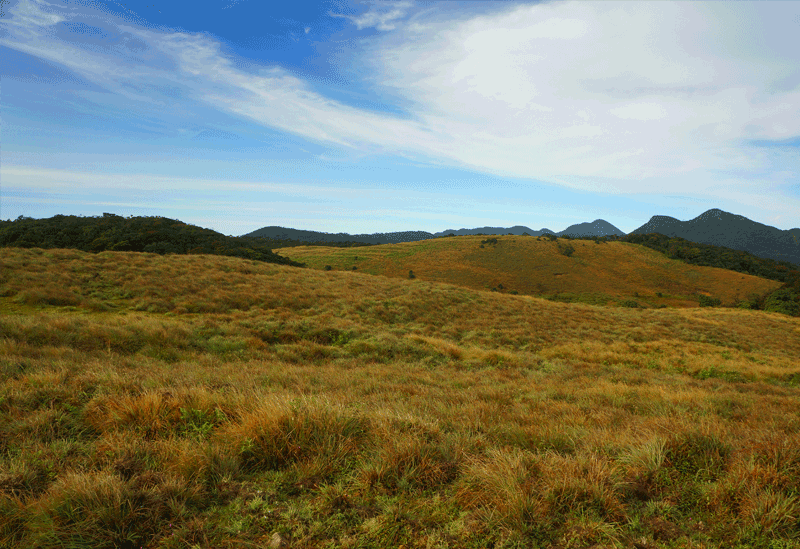 Horton Plains Cloud Forest  Sri Lanka