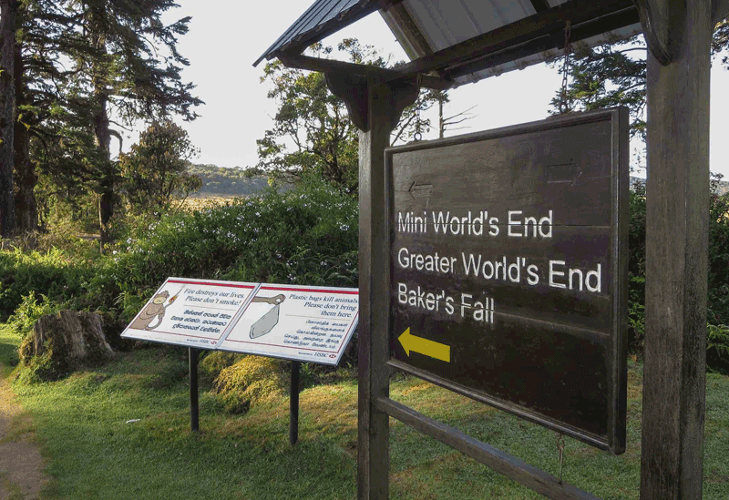 Horton Plains Cloud Forest  Sri Lanka