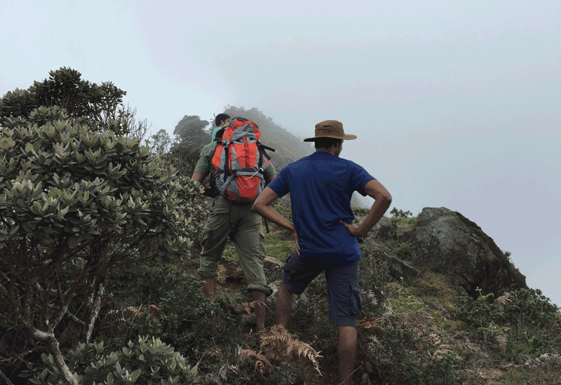 Horton Plains Cloud Forest  Sri Lanka