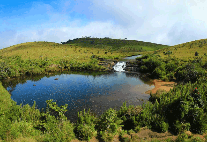 Horton Plains Cloud Forest  Sri Lanka