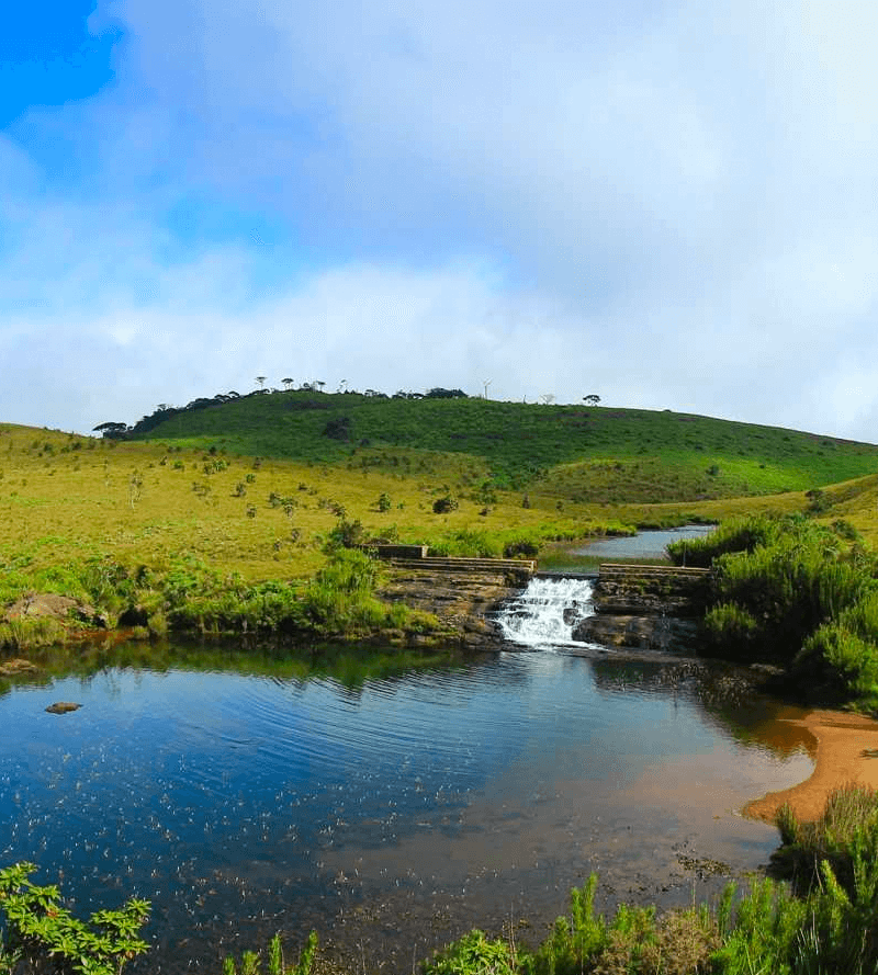 Chimney Pool