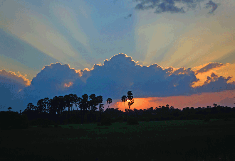 Jaffna Sri Lanka