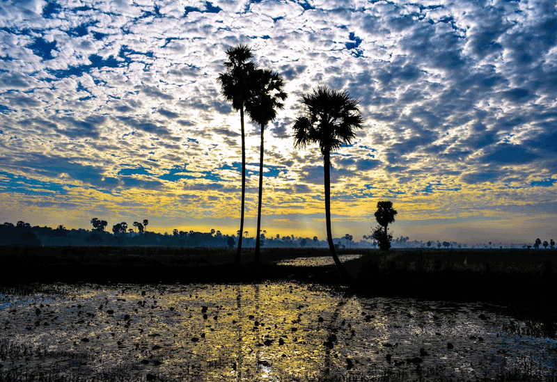 Jaffna Sri Lanka