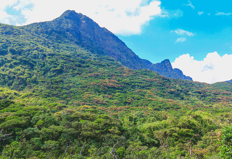 Knuckles Mountain Range Sri Lanka
