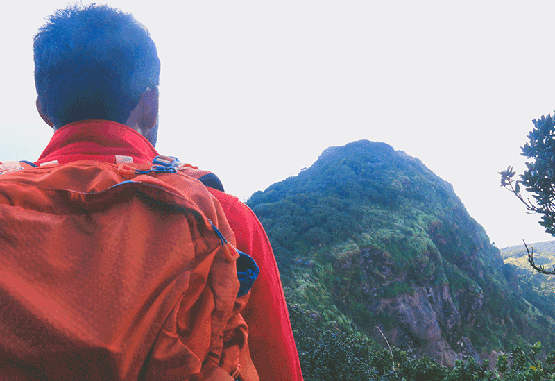 Knuckles Mountain Range Sri Lanka