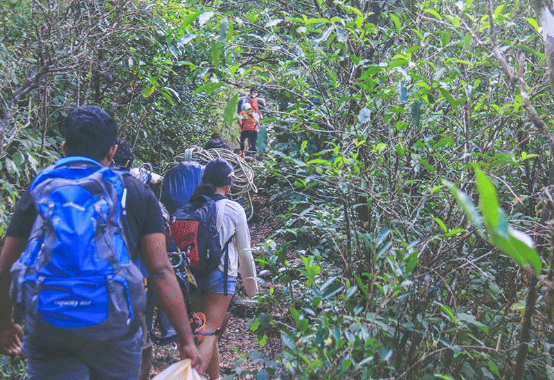 Knuckles Mountain Range Sri Lanka