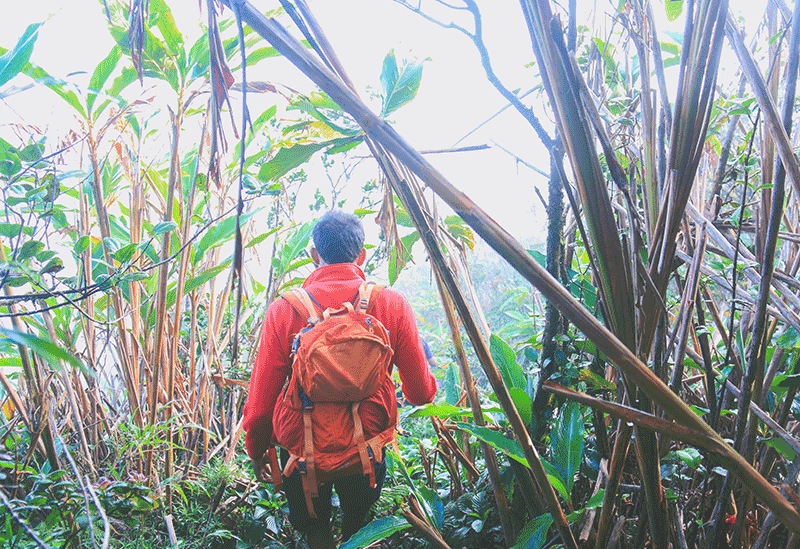 Knuckles Mountain Range Sri Lanka