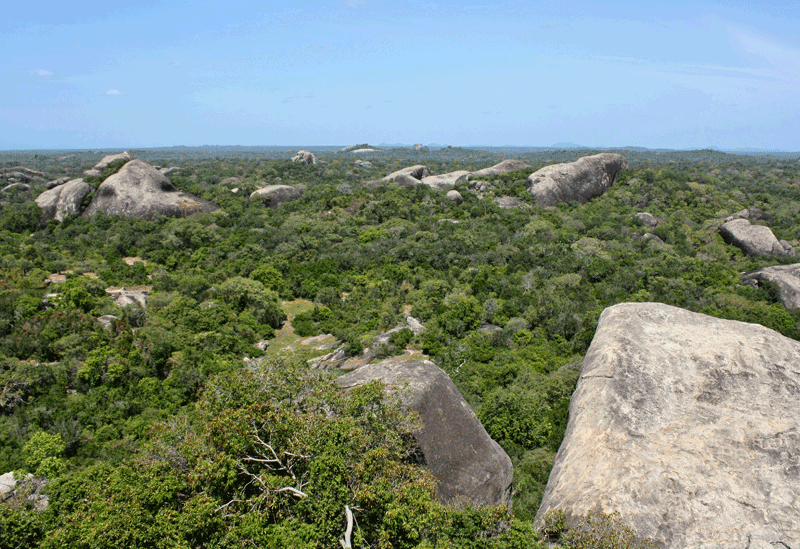 Kumana Sri Lanka