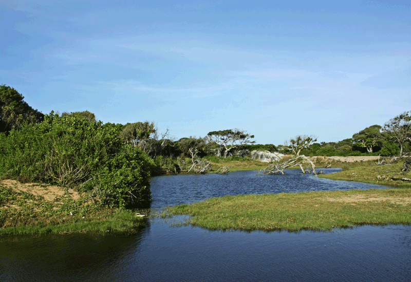 Kumana Sri Lanka