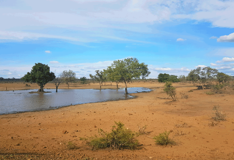 Kumana Sri Lanka