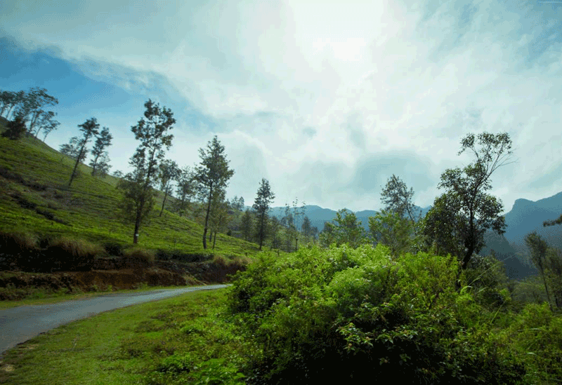 Matale Sri Lanka