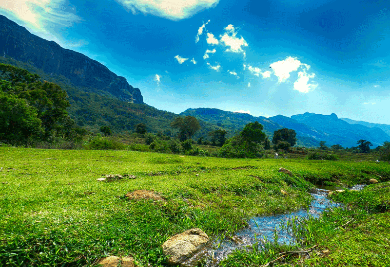 Matale Sri Lanka