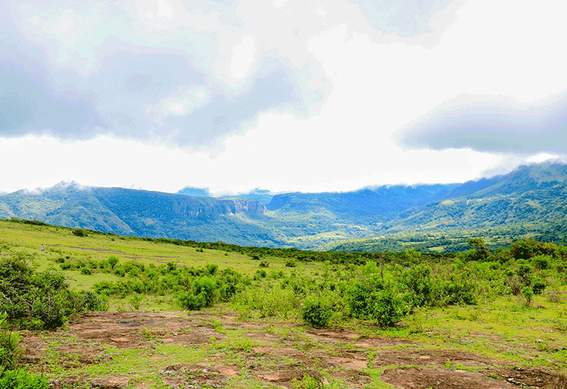 Matale Sri Lanka