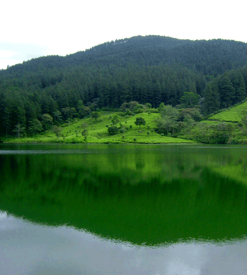 Sembuwaththa Lake