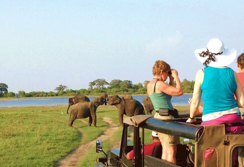 Minneriya Sri Lanka