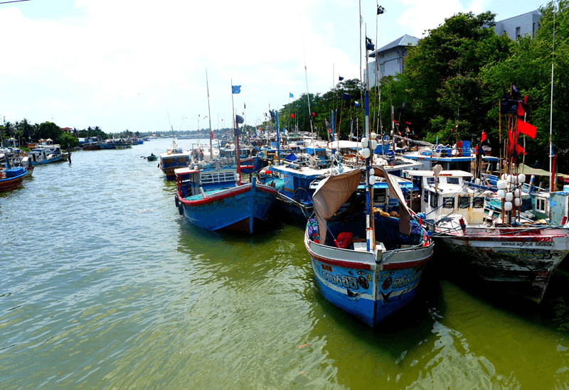 Negombo Sri Lanka