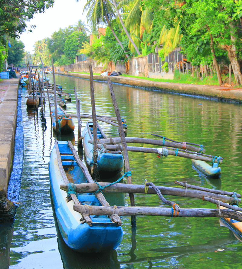 The Dutch Canal