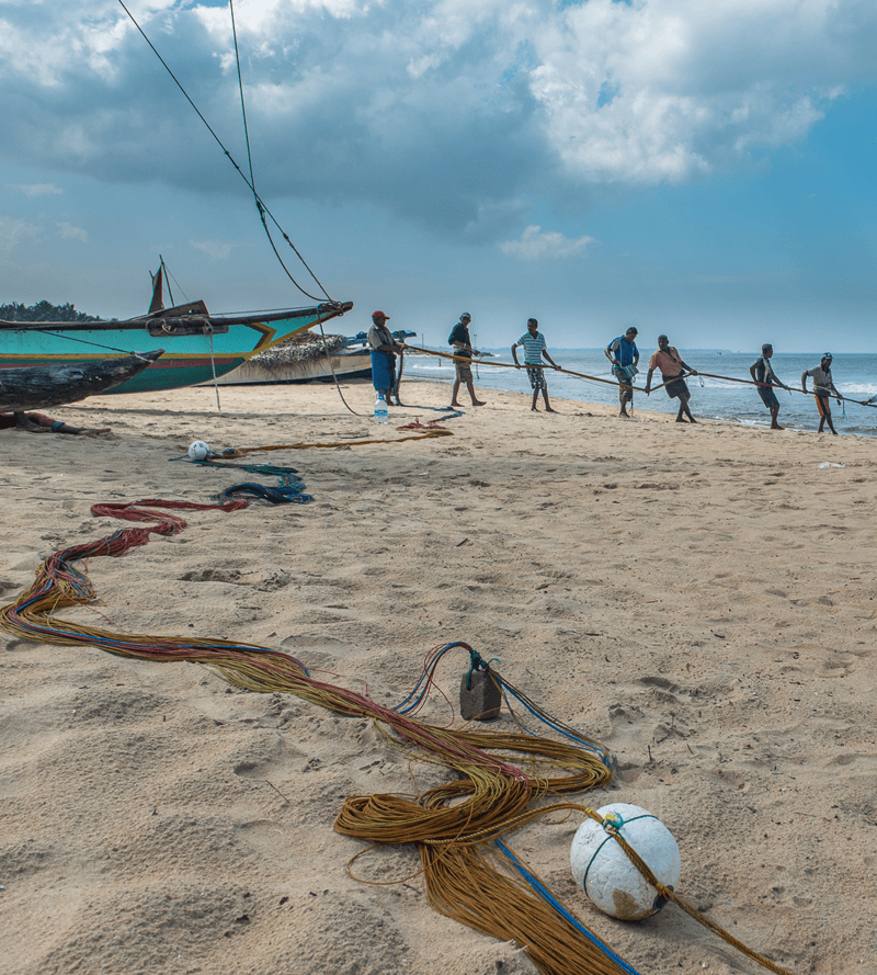 Fish Market