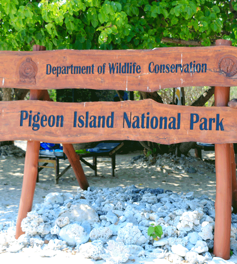 Pigeon Island