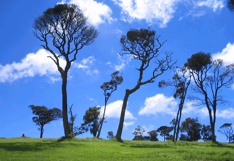 Nuwara Eliya Sri Lanka