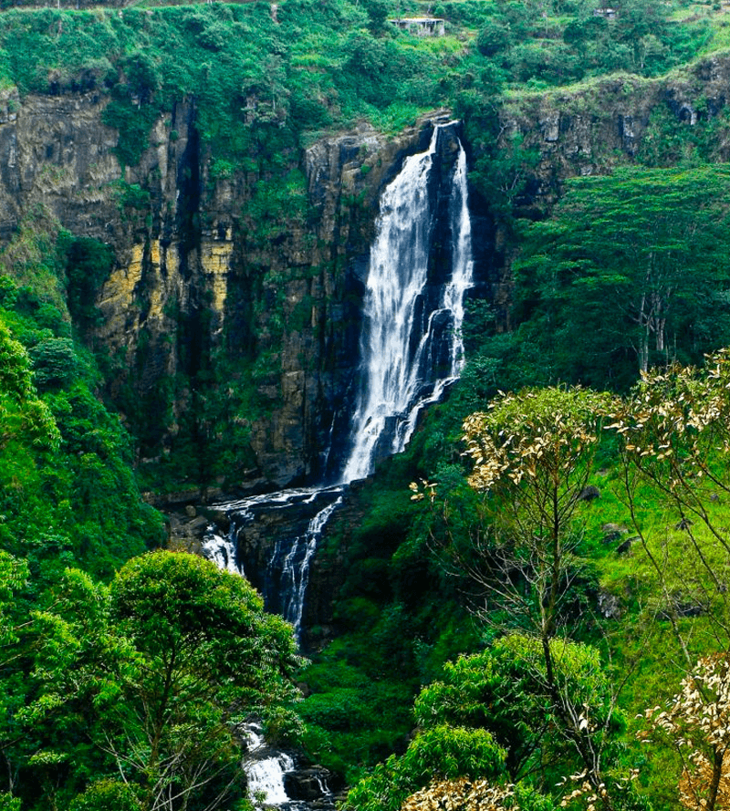 Devon Falls