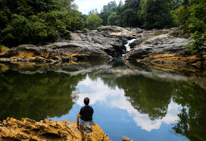 Pinnawala Sri Lanka