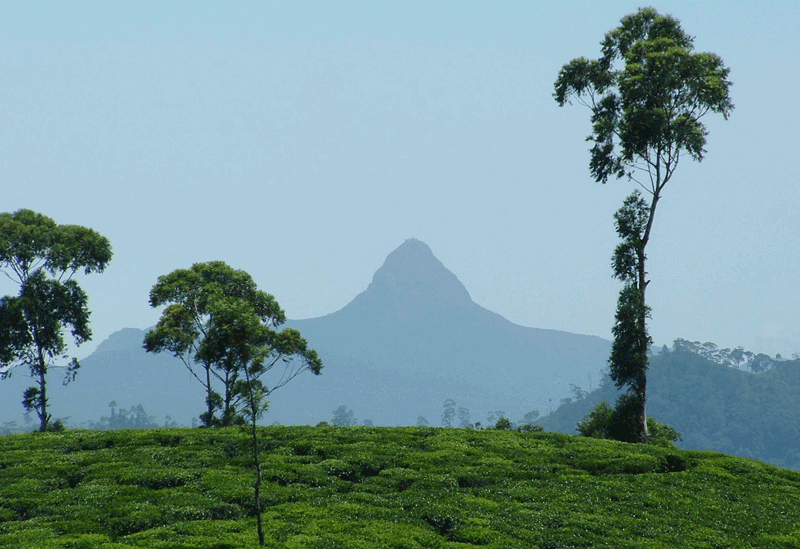 Rathnapura Sri Lanka