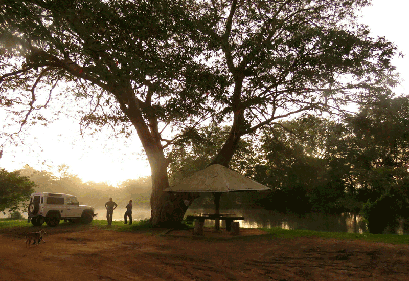 Wilpattu National Park Sri Lanka