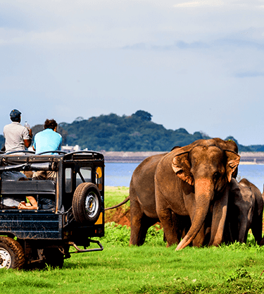 Best of Sri Lanka Rapid Holidays